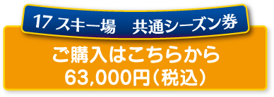 スキー場　共通シーズン券